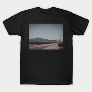 Dizzy Rock at Najas Desert Oasis Essex Vintage Photo V2 T-Shirt